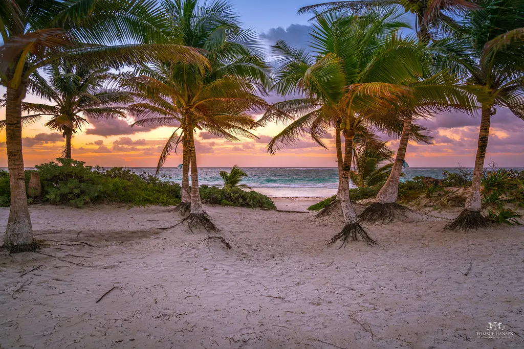Wit zandstrand met palmbomen bij zonsopkomst, met de Caribische Zee op de achtergrond in Tulum