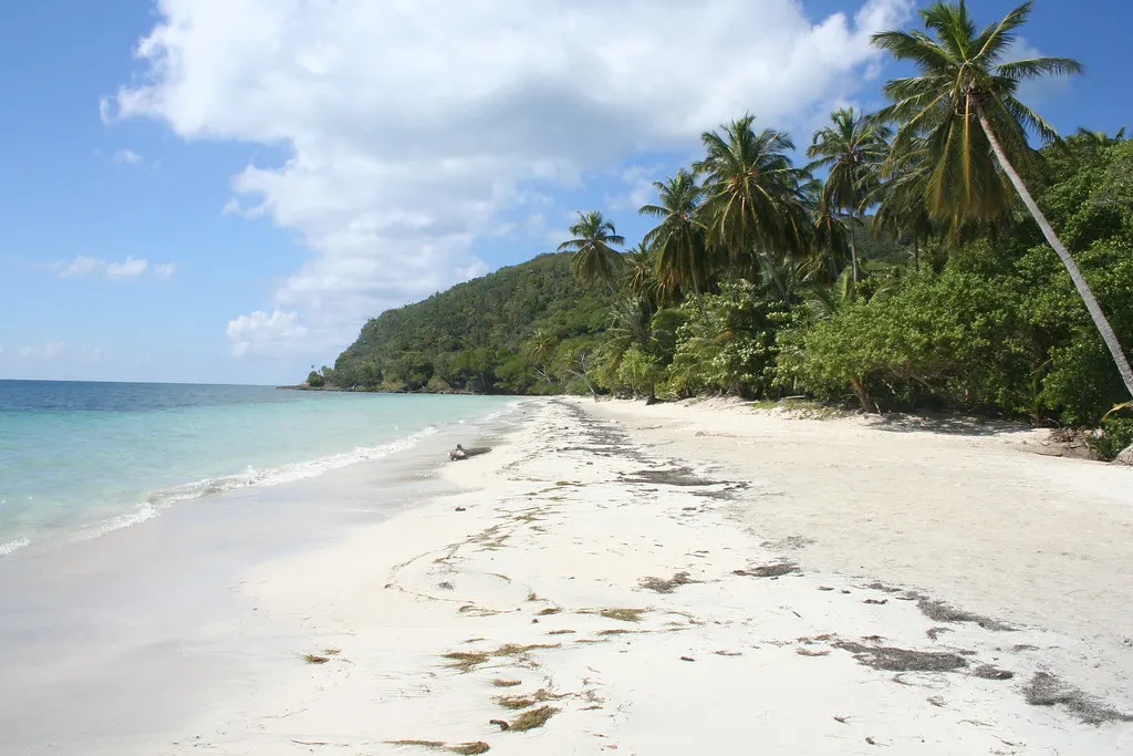 Wit zandstrand met palmbomen, groen beboste heuvel en turquoise zee onder een blauwe lucht