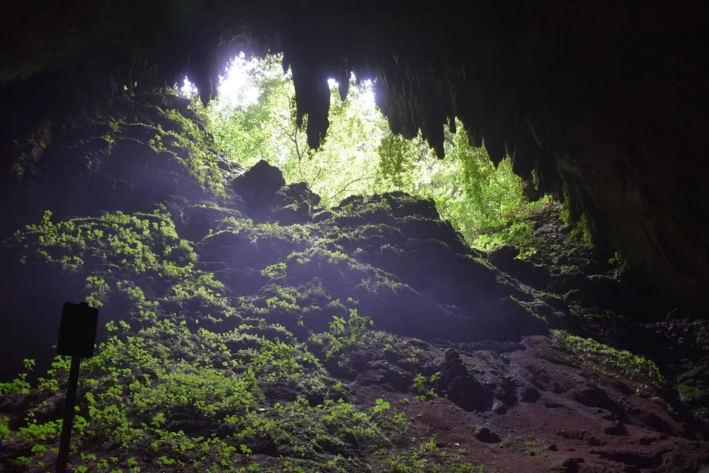 Zicht vanuit de grot Cueva Clara naar de begroeide ingang met stalactieten en tropisch groen