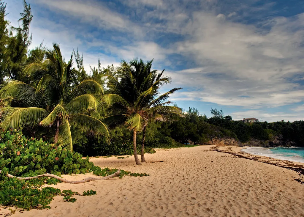 Wit zandstrand met palmbomen, groene begroeiing en turquoise zee onder een blauwe lucht op Barbados