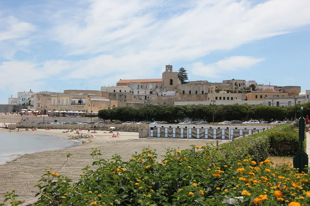 Zandstrand van Otranto met de oude stad en kathedraal op de achtergrond en gele bloemen op de voorgrond