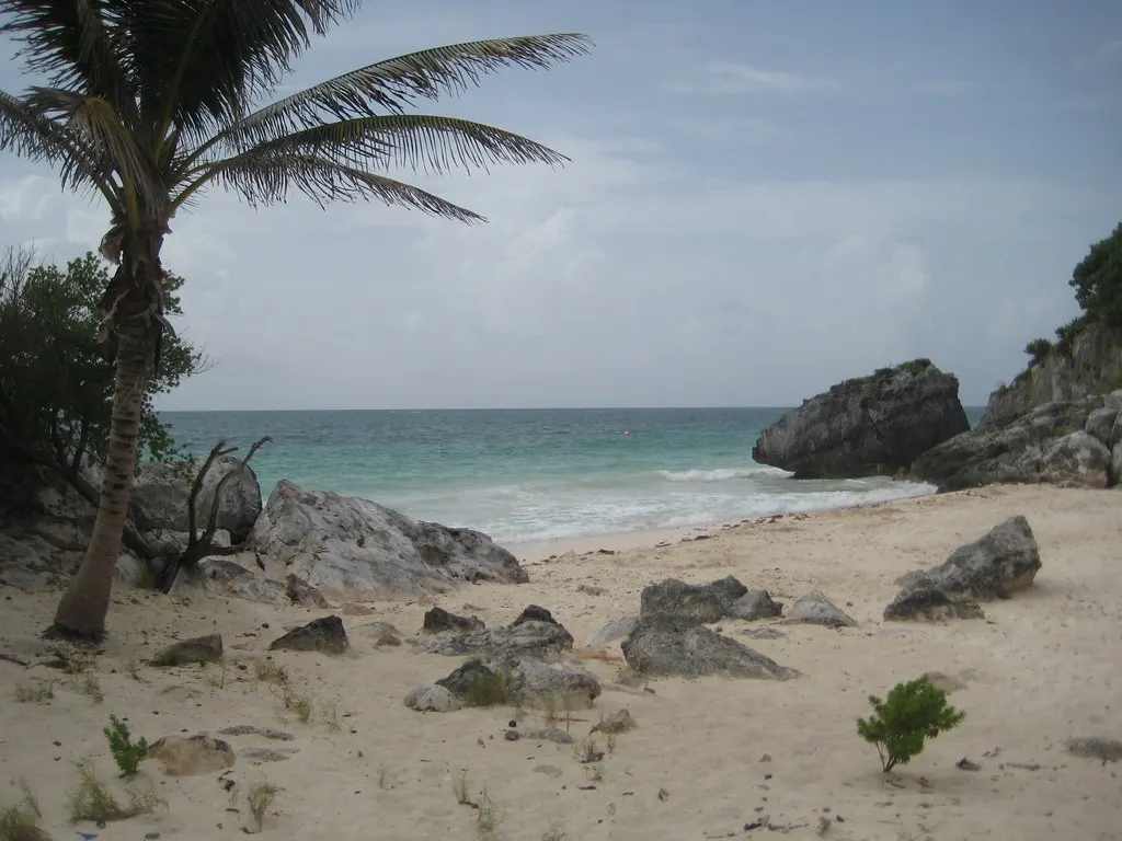 Wit zandstrand met rotsen en palmboom aan turquoise Caribische zee bij Tulum