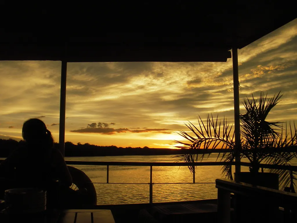 Zonsondergang boven de Zambezi gezien vanaf het dek van een rivierboot met palmblad en silhouet