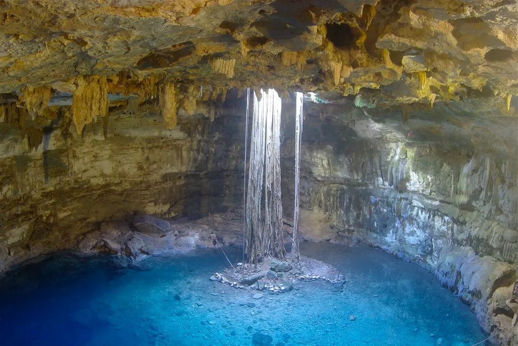 Ondergrondse cenote met kalksteenwanden, hangende boomwortels en helder turquoise water