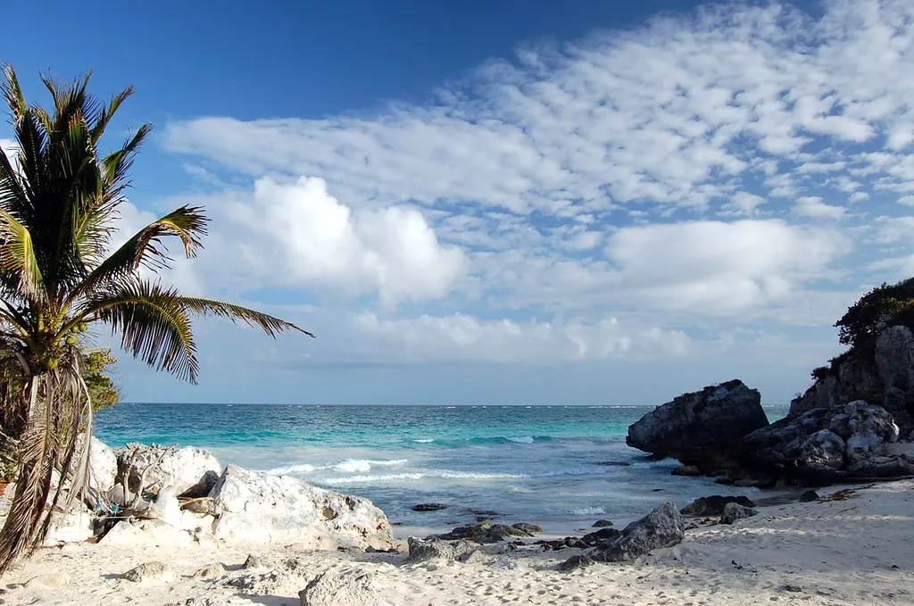 Wit zandstrand met palmboom, rotsen en turquoise Caribische Zee onder een wolkenlucht bij Tulum