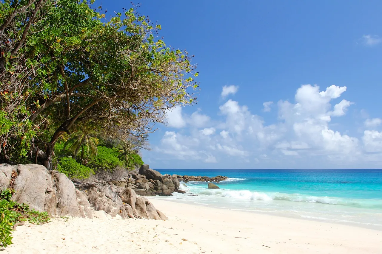Wit zandstrand met granietrotsen, groene bomen en turquoise zee onder een blauwe lucht op de Seychellen