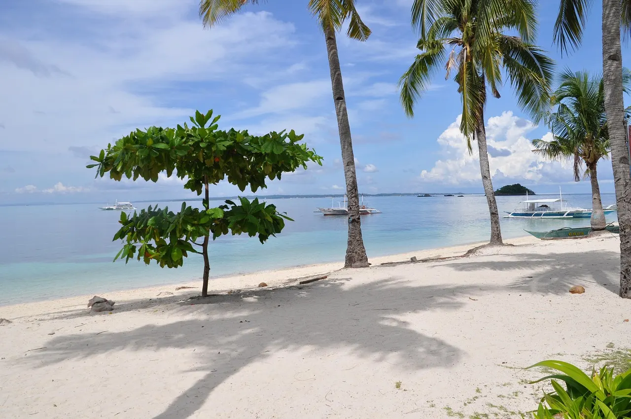 Wit zandstrand met palmbomen, turquoise zee en bangka-boten op Malapascua Island