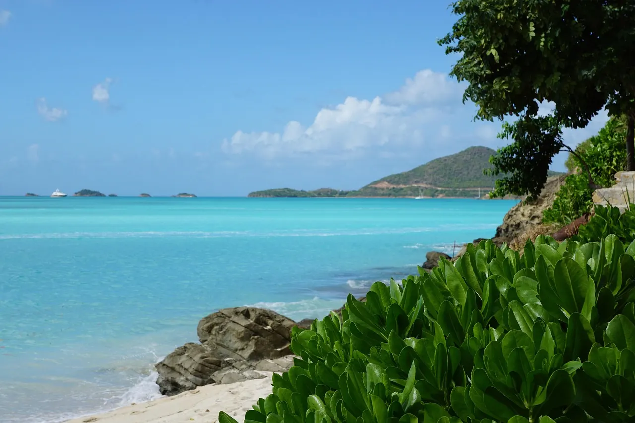 Turquoise baai met wit zandstrand, rotsen en groene kustplanten onder een blauwe lucht op Antigua