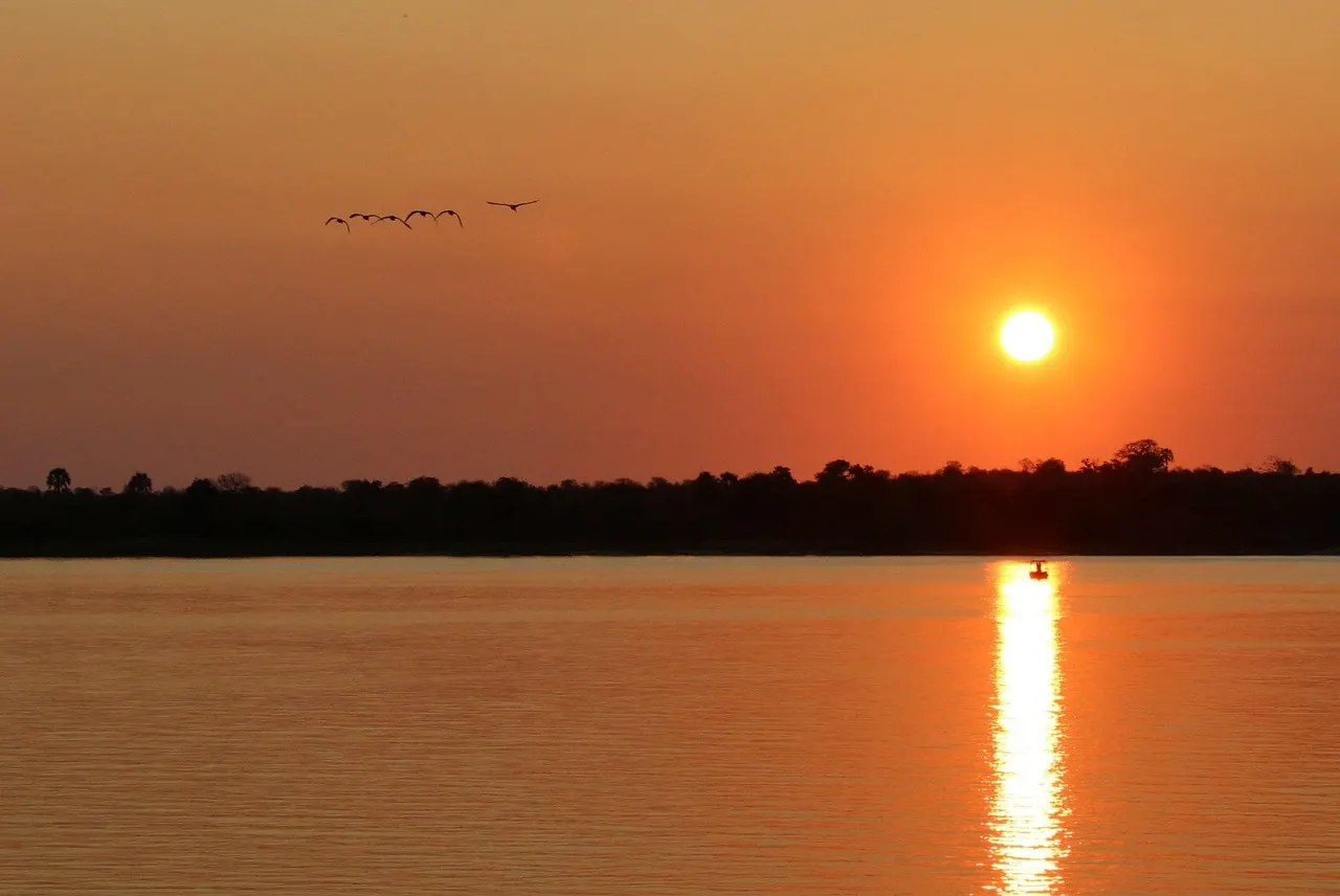 Oranje zonsondergang boven de Zambezi-rivier met vliegende vogels en een weerspiegeling van de zon in het water