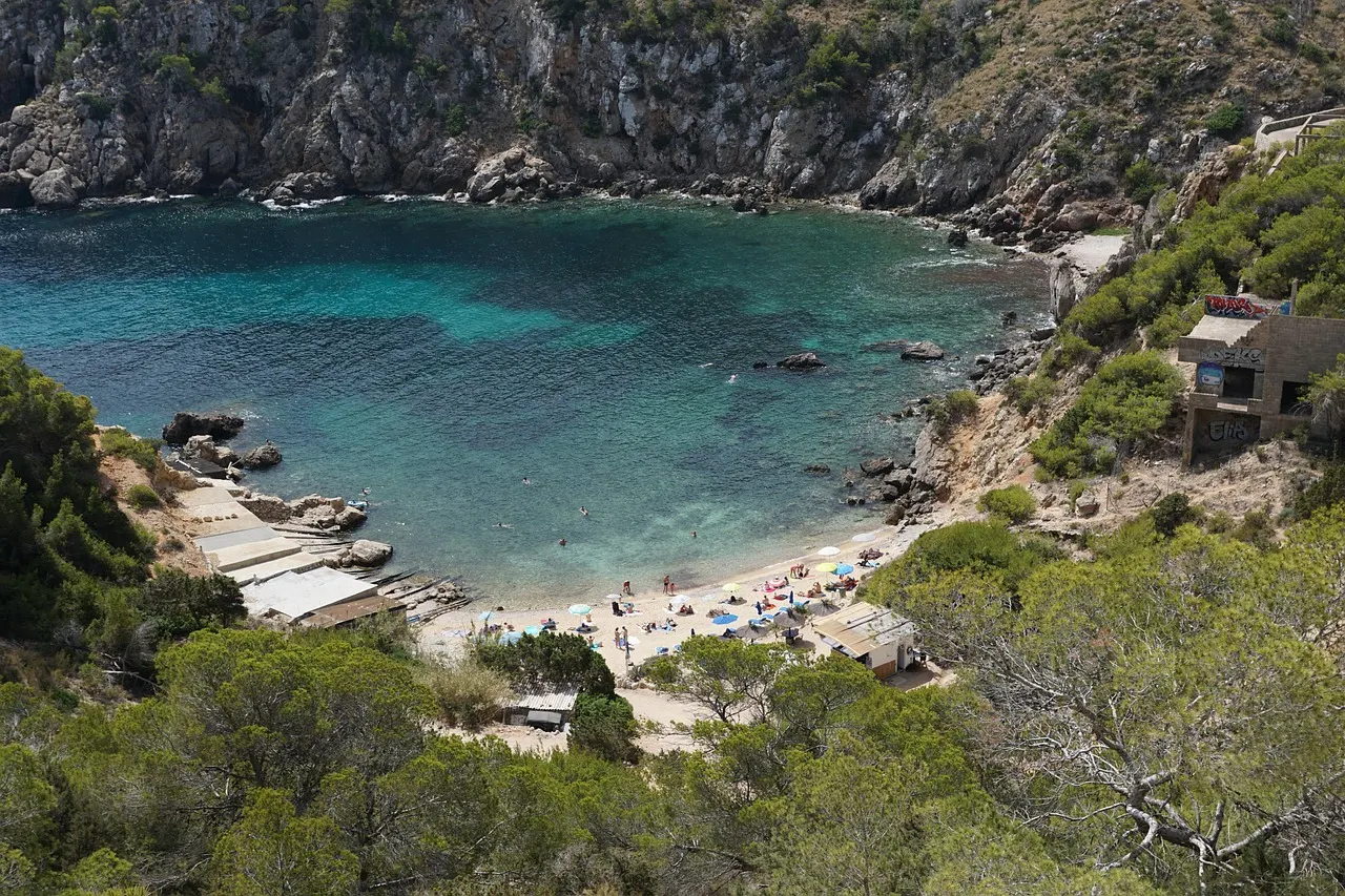Turquoise baai met zandstrand en parasols tussen rotsachtige kliffen en dennenbomen op Ibiza