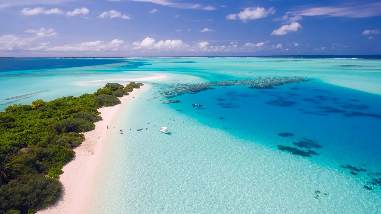 Luchtfoto van een bebost eiland met wit zandstrand en een turquoise lagune met koraalriffen op de Malediven