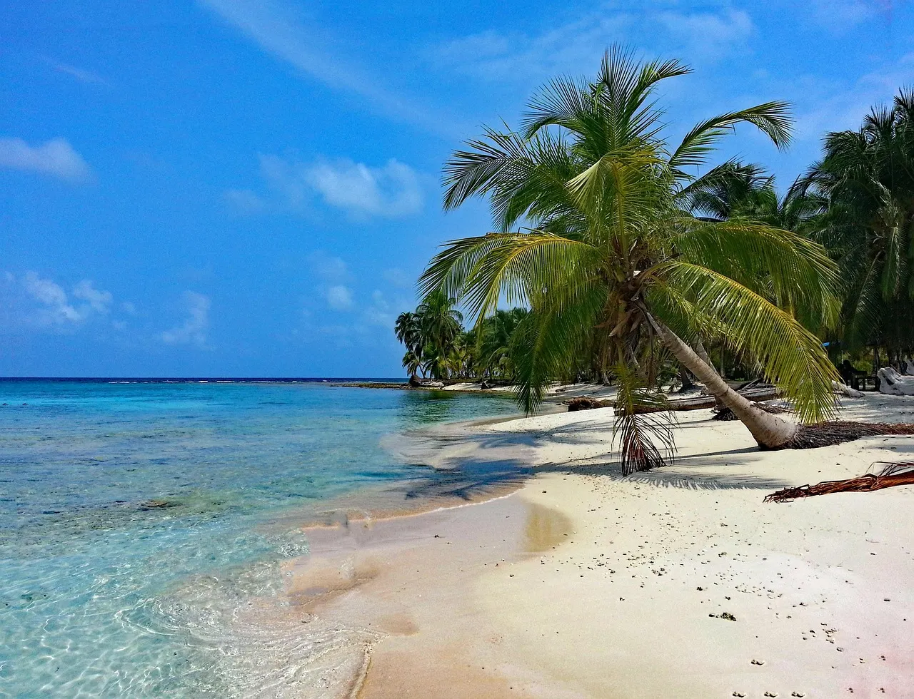 Wit zandstrand met overhangende palmboom en helder turquoise water op een eiland in San Blas