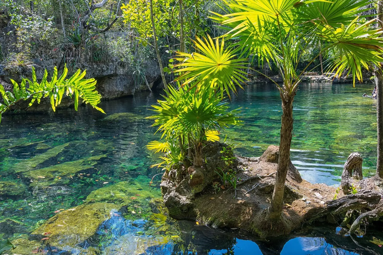 Helder turquoise water in een open cenote met palmplanten en rotsen in de jungle