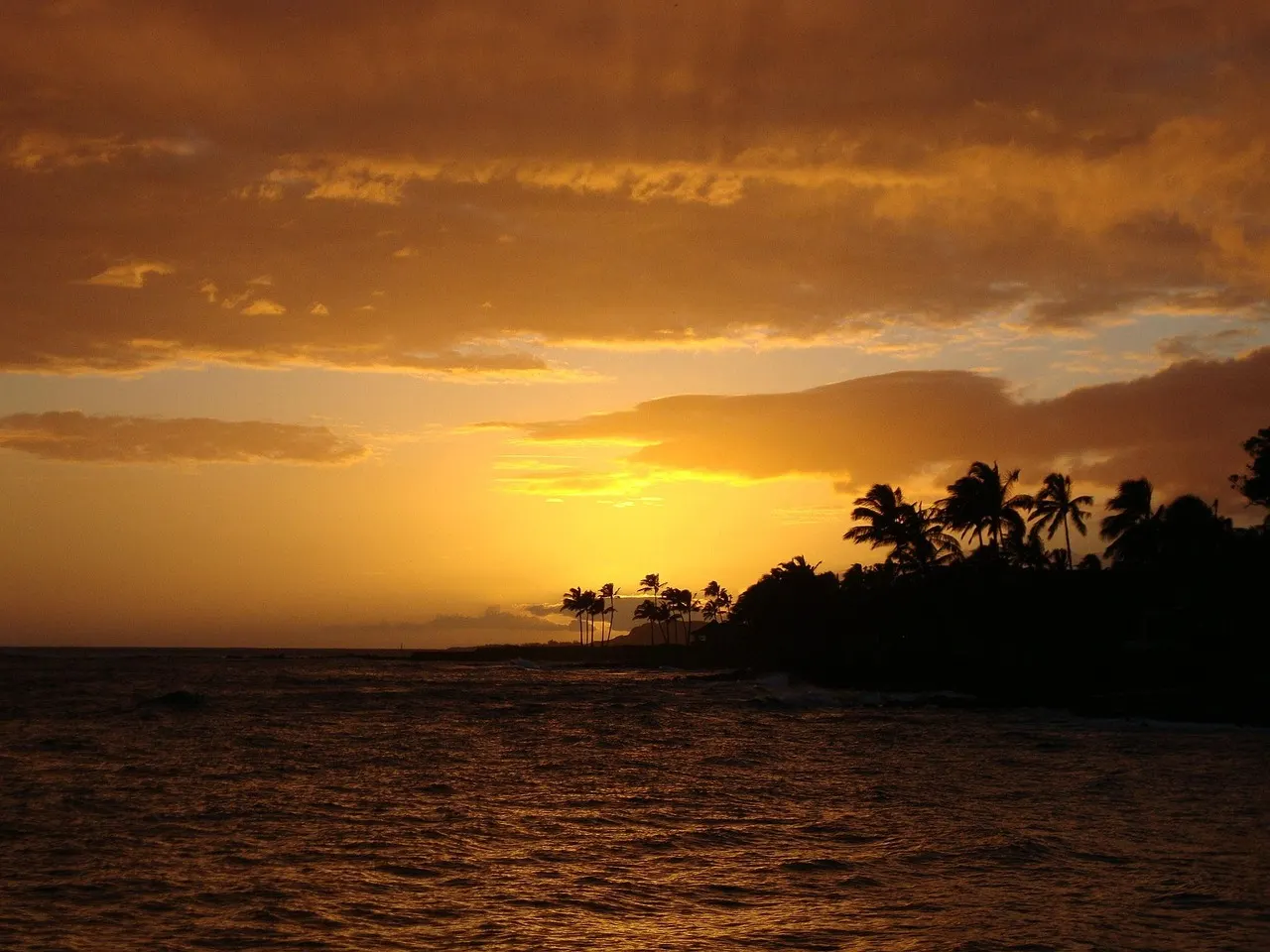Goudkleurige zonsondergang boven de oceaan met silhouetten van palmbomen langs de kust van Kauai