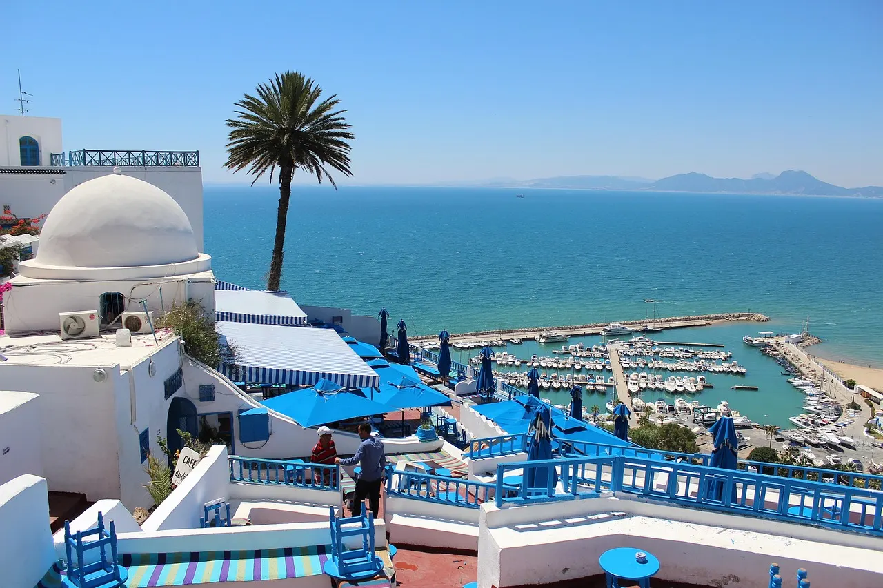 Witblauw Sidi Bou Said met koepel, palmboom en uitzicht over de jachthaven en de blauwe Golf van Tunis