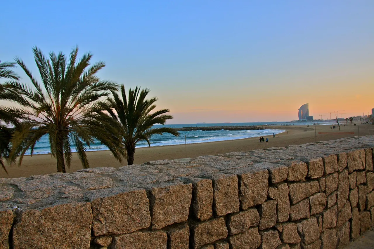 Strand van Barcelona met palmbomen, stenen muur en de Middellandse Zee bij zonsondergang