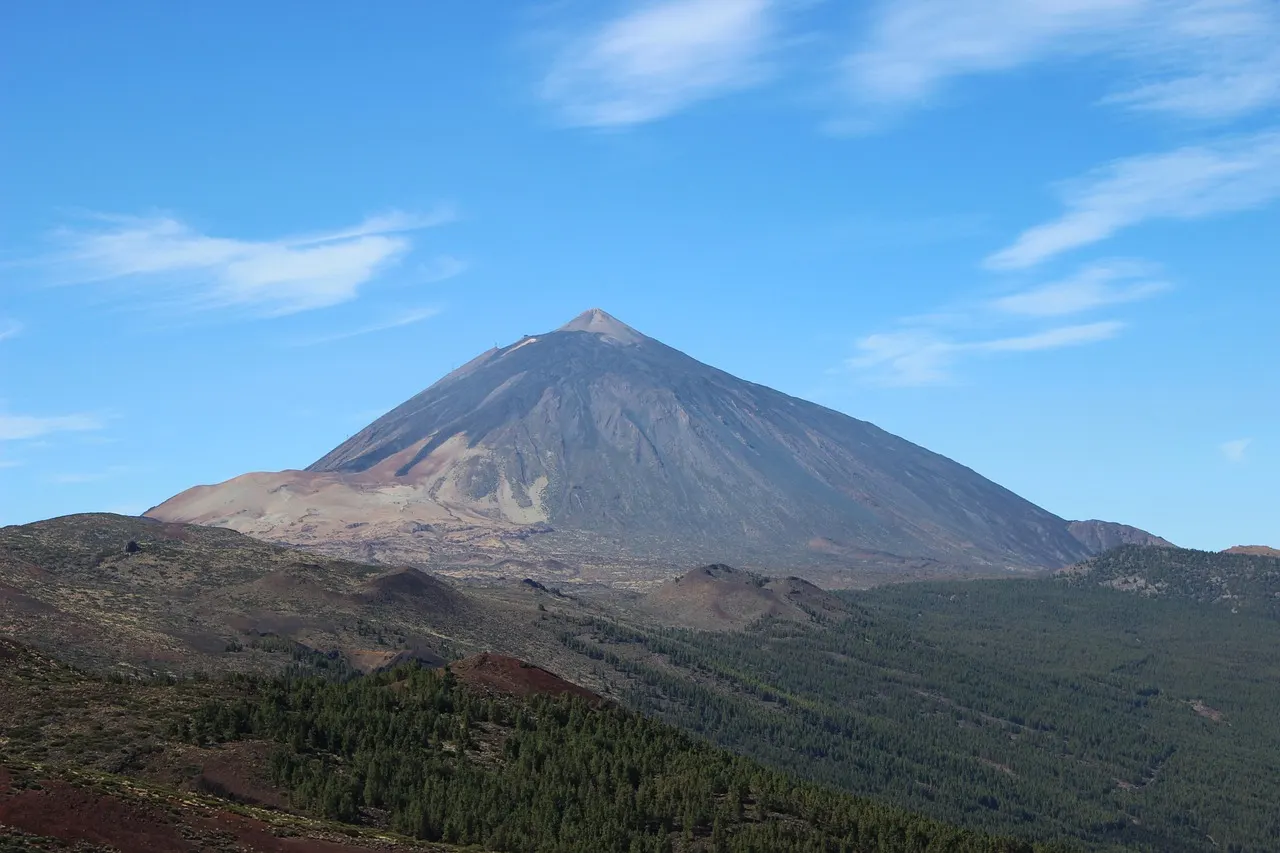 De kegelvormige Teide-vulkaan onder een blauwe lucht met dennenbossen op de voorgrond