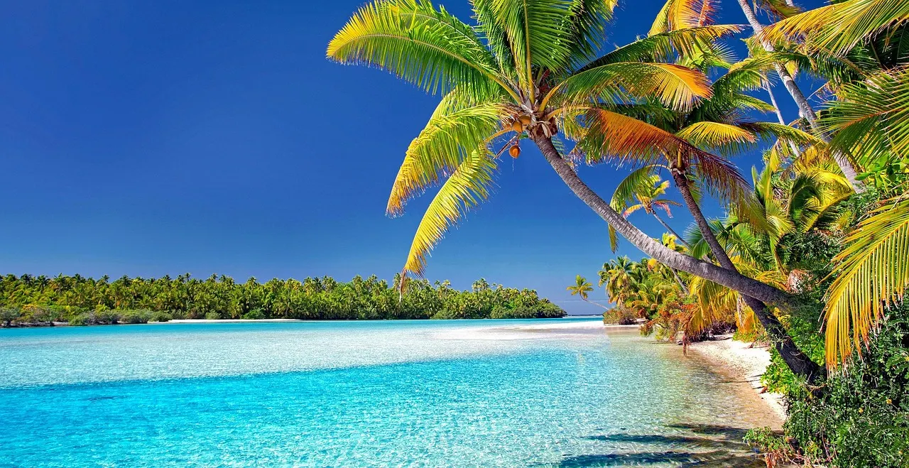 Helder turquoise lagunewater met wit zandstrand en overhangende palmbomen onder een strakblauwe lucht