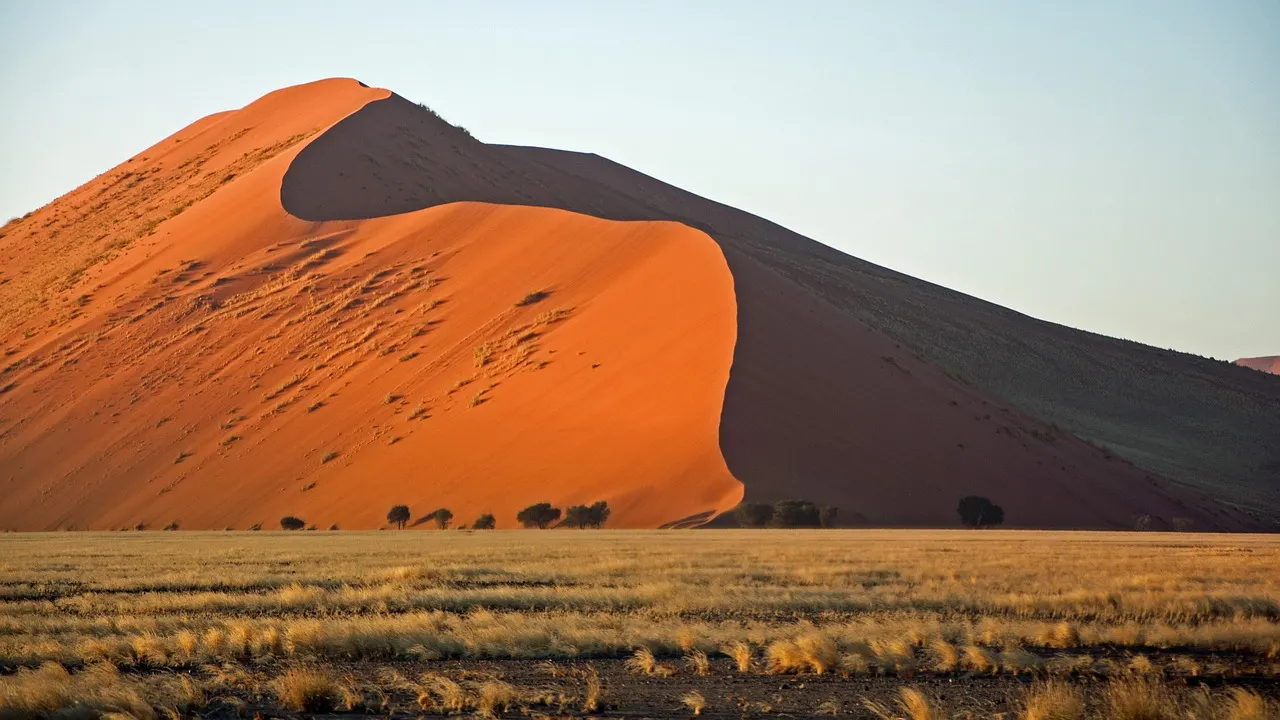 Oranjerode zandduin met scherpe kam in het avondlicht, met droog gras op de vlakte ervoor in Namibië