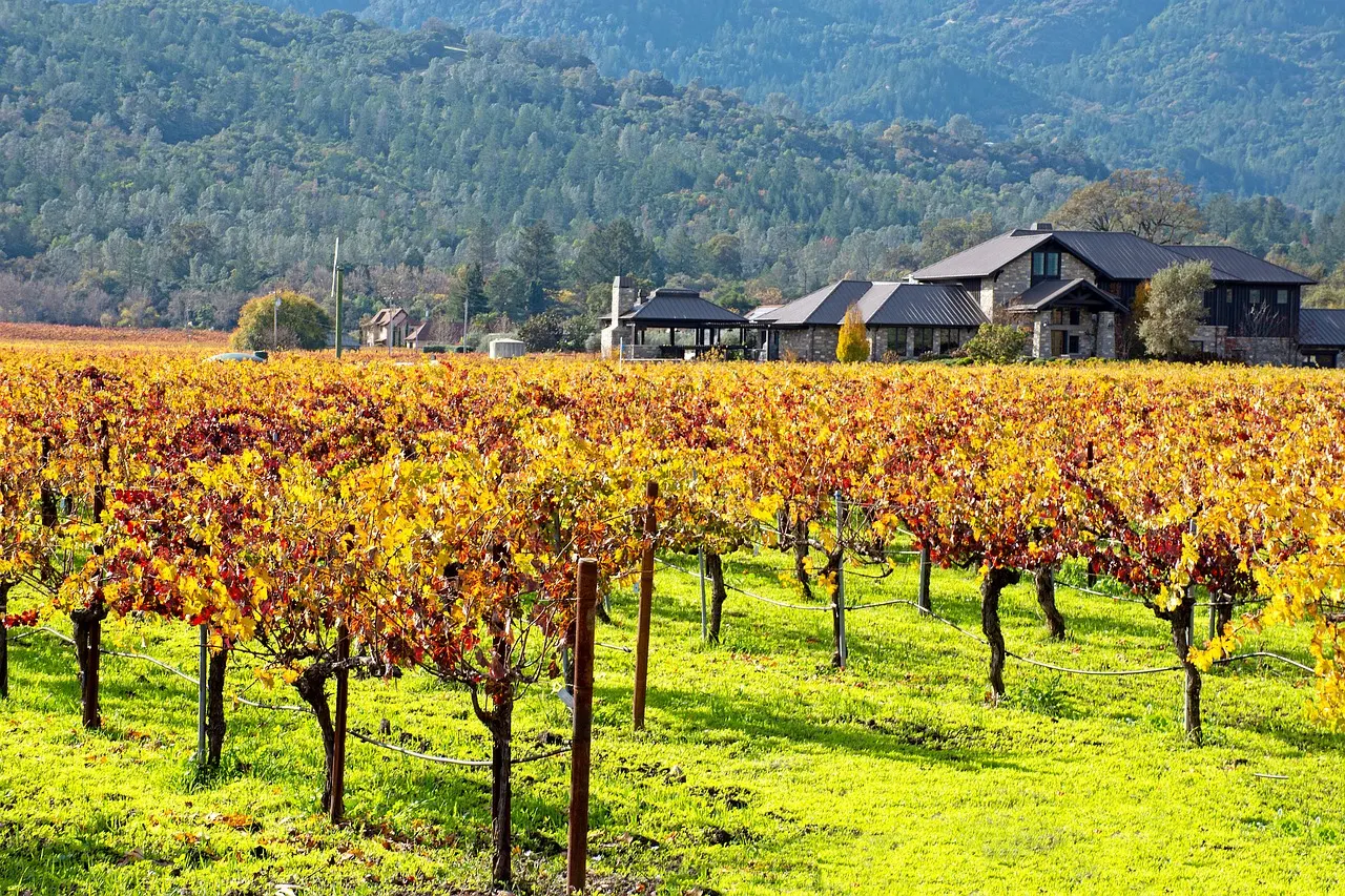 Herfstkleurige wijnranken in Napa Valley met stenen landhuizen en beboste heuvels op de achtergrond