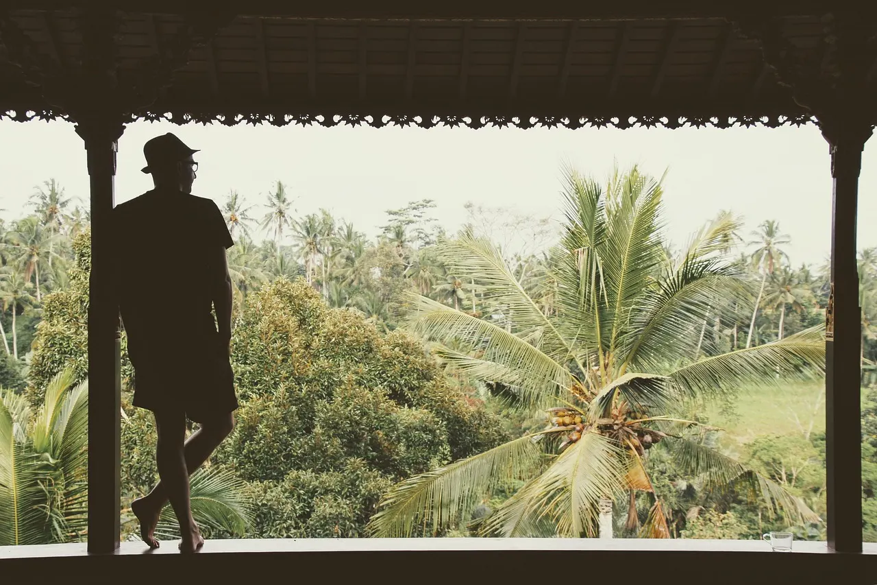 Silhouet van een man op een overdekte veranda met uitzicht over palmbomen en groene jungle in Ubud