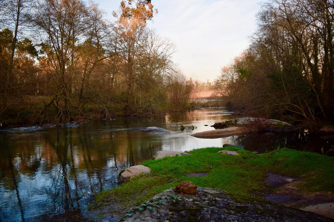 Rustige rivier met rotsen en kale bomen langs de oever in het zachte avondlicht