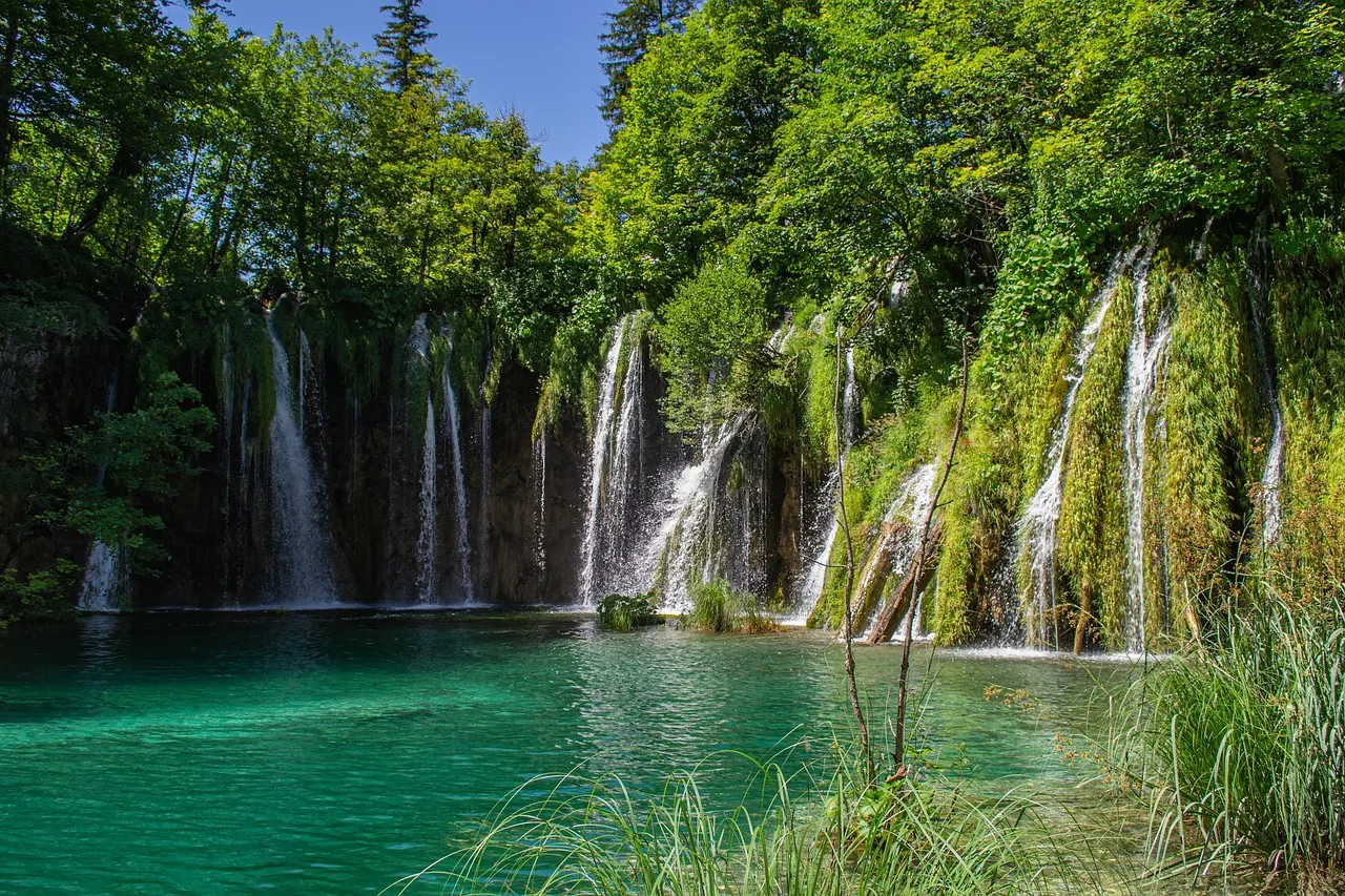 Watervallen tussen groene begroeiing storten in een turquoise meer in Plitvice