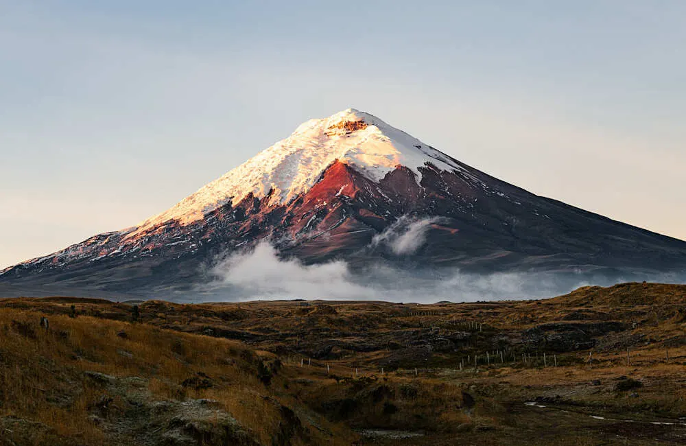 Besneeuwde top van vulkaan Cotopaxi in avondlicht boven het grasland van het nationaal park