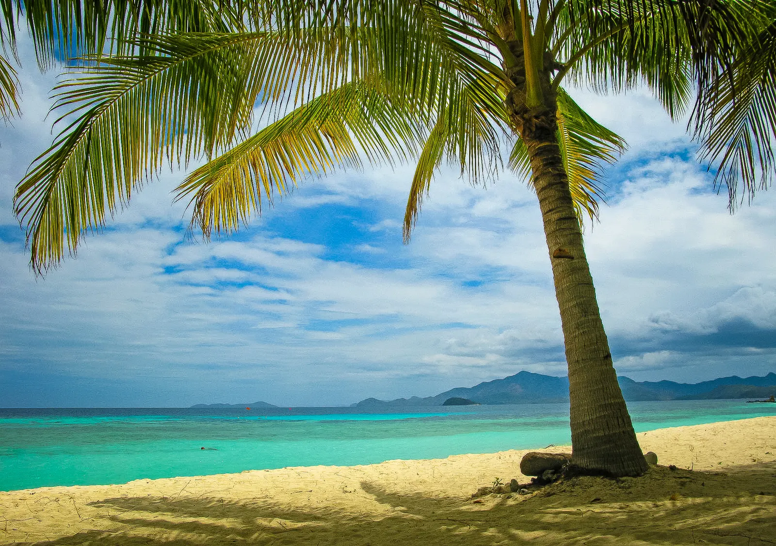 Palmboom op een wit zandstrand met turquoise zee en bergen aan de horizon op Malcapuya Island