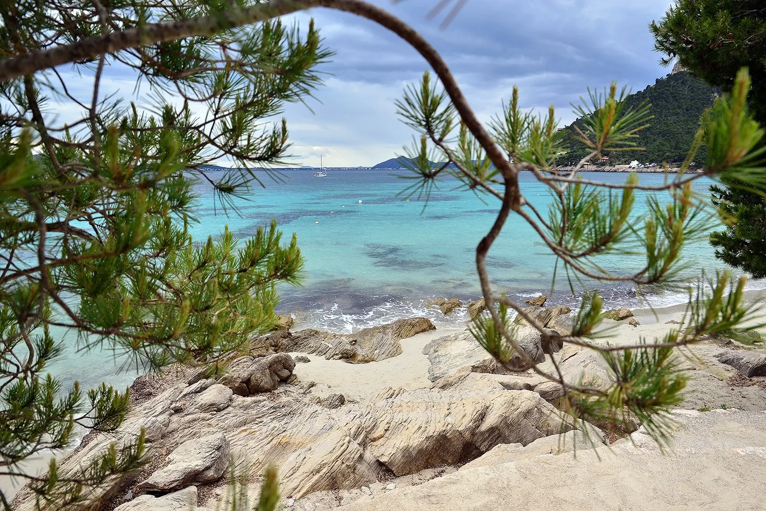 Turquoise water en rotsachtig strand van Cala Formentor, omlijst door takken van pijnbomen