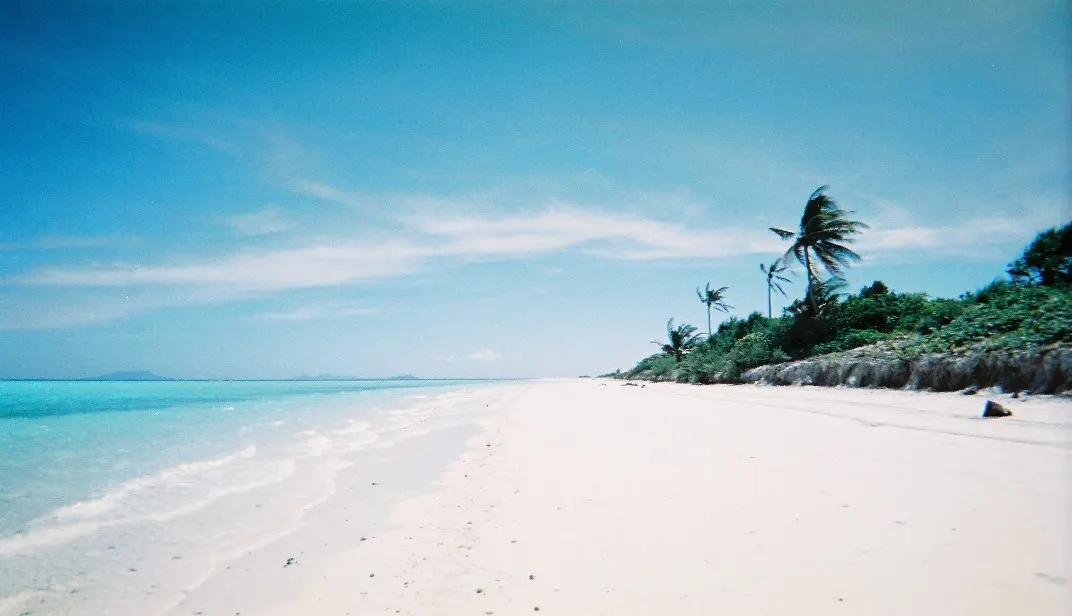 Wit zandstrand met palmbomen en turquoise zee onder een blauwe lucht op Pamalican Island
