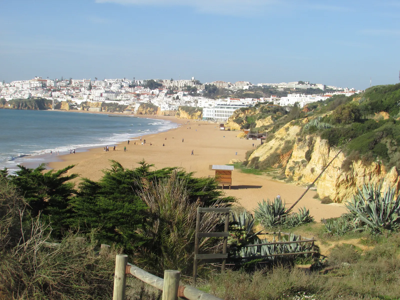 Breed zandstrand met gele kliffen en groene begroeiing, met op de achtergrond de witte huizen van Albufeira