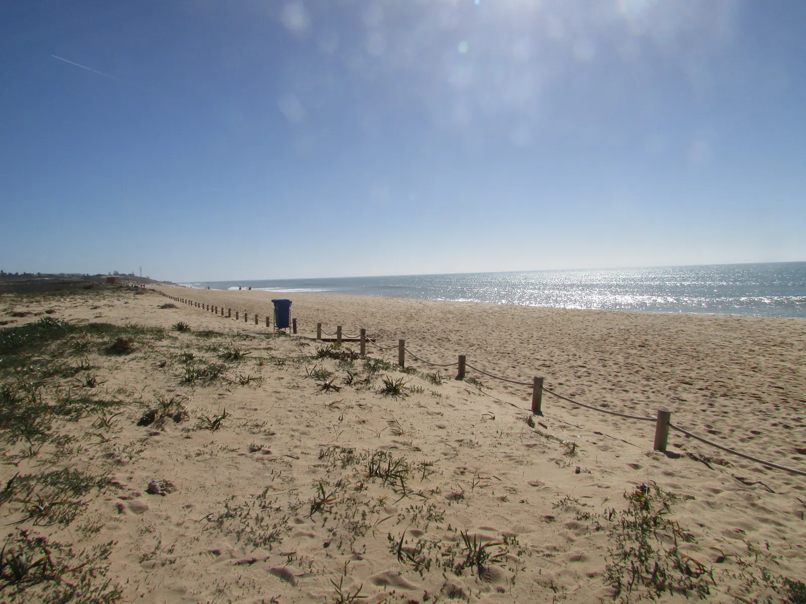 Breed zandstrand met duinbegroeiing en houten paaltjes langs de zee onder een strakblauwe lucht