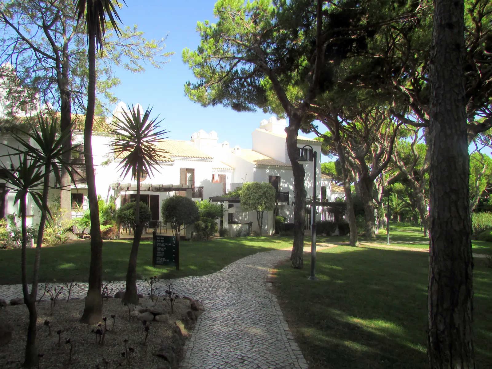 Witte resortgebouwen tussen pijnbomen en palmen met een geplaveid tuinpad in de Algarve