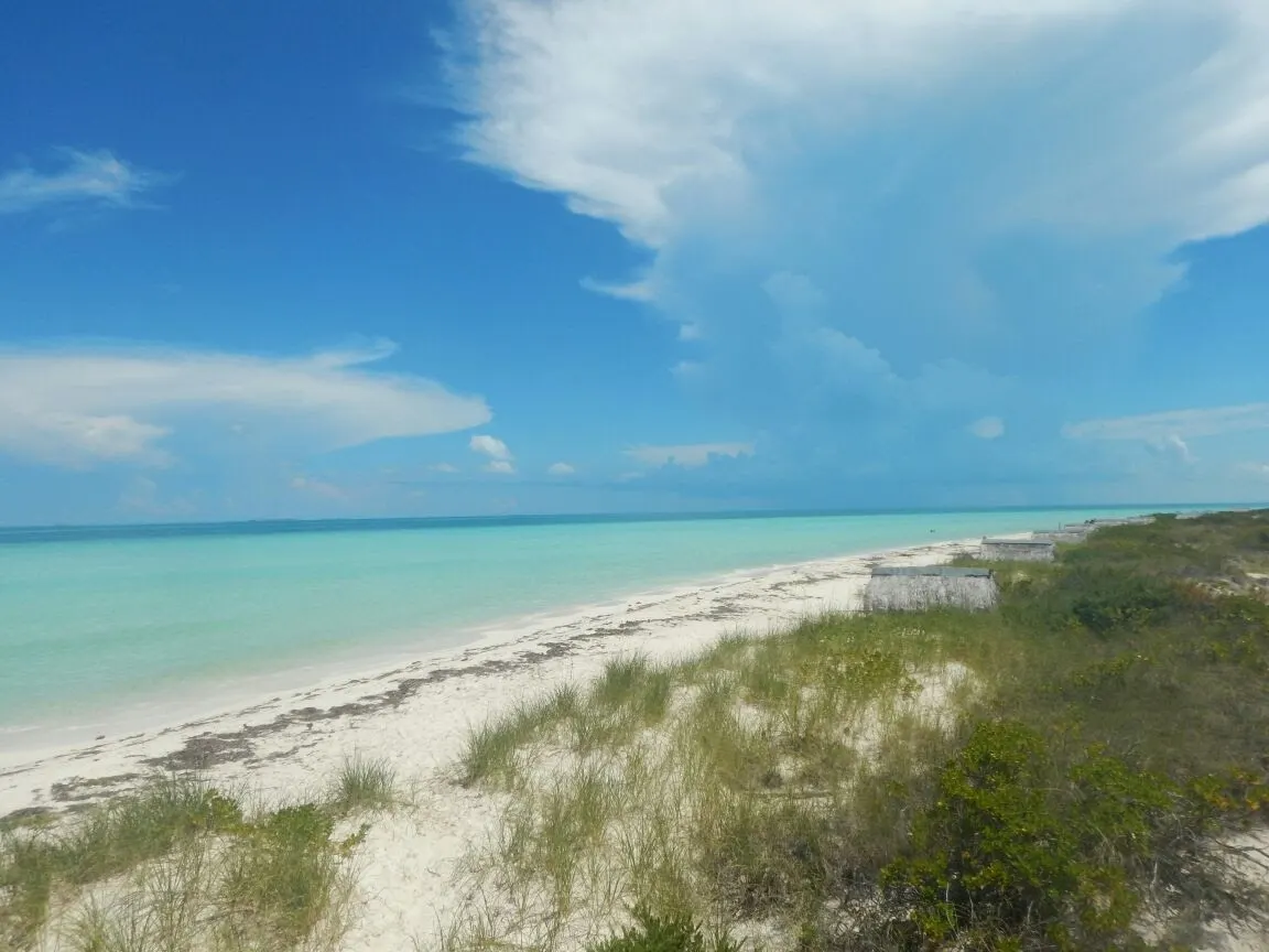 Wit zandstrand met duingras langs turquoise zee onder een blauwe lucht met witte wolken op Cayo Santa Maria