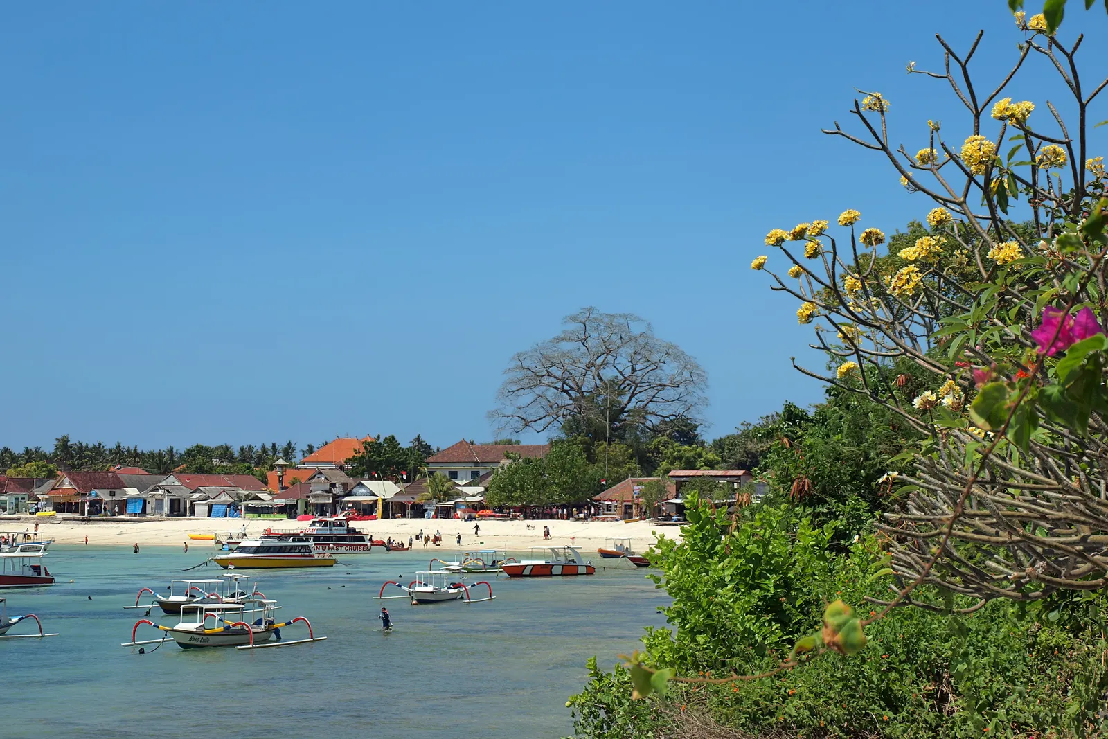Wit zandstrand van Jungutbatu op Nusa Lembongan met bootjes in turquoise water en bloeiende frangipani