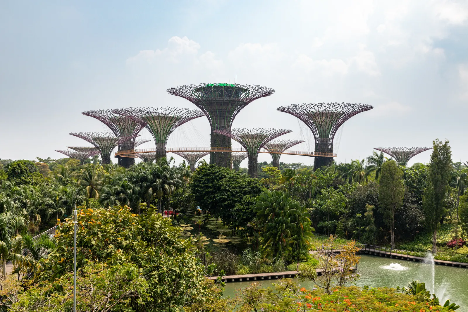 Supertrees van Gardens by the Bay boven tropisch groen en een vijver met fontein in Singapore